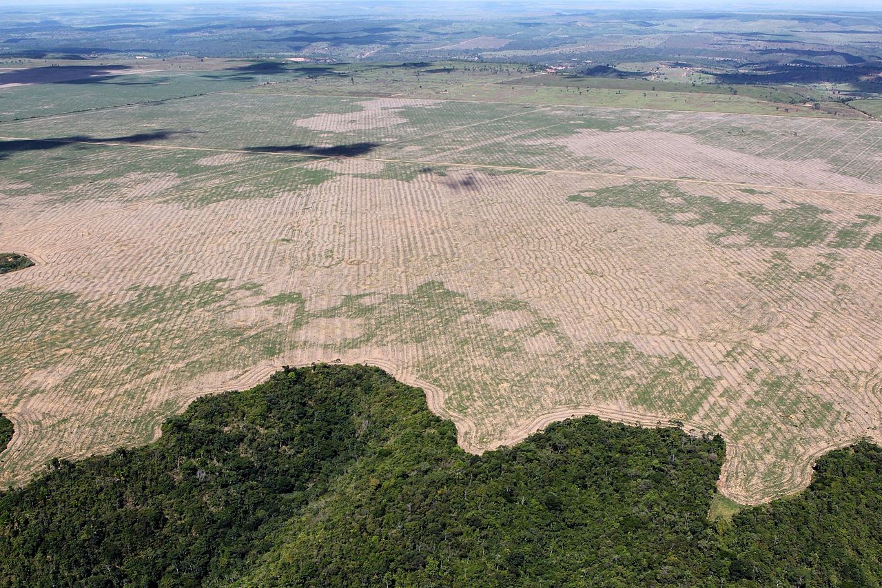 Deforestation in the Maranhão state of Brazil, 2016